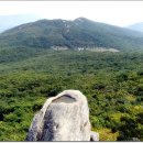 호포농장 이미지