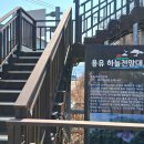 용유해수욕장 Daum카페