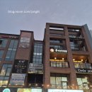 용선생짬뽕청주 | 맛집) 용선생짬뽕 성성호수점 후기