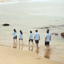 춘천성체지역아동센터 | [N돌핀 13기🐬] NH농협은행 대학생 봉사단 N돌핀 합격 후기 및 활동 과정