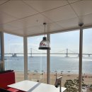 도우개러지 이미지