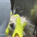 몽드드뚜뚜 이미지