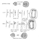 [책] 수목진단_잎.신초의 진단과 처리 이미지