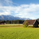 선택농장 이미지