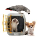 해운대 24시 동물의료원 이미지