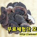 황보한의원 네이버블로그