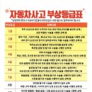 ‼️‼️ 제발 운전자보험 카카오페이로해.. 6천원도 안함 .. ‼️‼️ 이미지