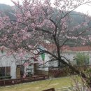 동화펜션 이미지