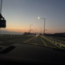 다임전자 | 인천 대부도 영흥도 애견펜션 스테이독 1호점 솔직후기