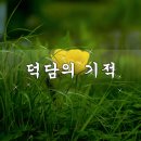 덕담의 기적 이미지