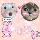 &#39; 익산 모현동 / 익산현지인 추천맛집 &#39; 요쿠야마치 익산본점 솔직한후기