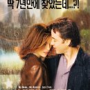 세렌디피티Serendipity