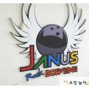 야누스 포켓볼 이미지