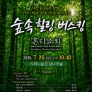 숲속 힐링 버스킹 - 사려니숲 이미지