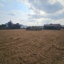 안성리-6 이미지