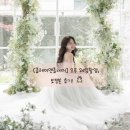 [클레이앤클레어/손태이이사님] 오후 웨딩촬영, 보정본 후기!👰🤍(Feat. 요닝/디아일)