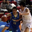 동승전자 이미지