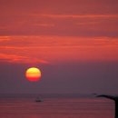 해돋이마트 - 아산시 번영로 190 | 해돋이마트