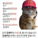 만나당개 | 왜 인간의 수면 권잔냥 아니 권쟐량 아니 궐장냐,,ㅎ 은 8시간인가?