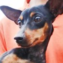 율하수약국 앞 이미지