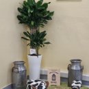 재덕목장 이미지