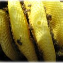 진우농장 이미지