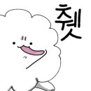 열애초밥