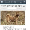 엄니밥줘 이미지