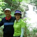 식구 이미지