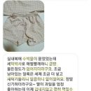 박사세탁 이미지