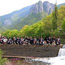 '주왕산수달래축제'로 즐기는 청송의 봄 이미지