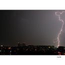 마님 이미지