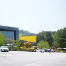 스쿨버스 문구 | 가평 아침고요수목원 카페 근처 힐링했던 엠블럭 카페