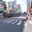 고령축산 이미지