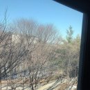 자미매운탕 이미지