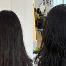 영종대로 | 머리해, 보라 보라보라 해보라 머리해,보라