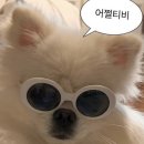 경희대 태권도 아이토리짐 이미지