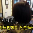 로이드밤헤어 이미지