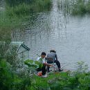 경기도 안성시 고삼면사무소 이미지