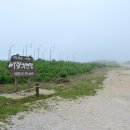 해바라기발전소 Daum카페