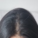 헤어오브네이처 이미지