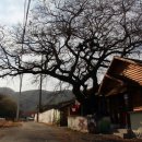 안계마을회관 이미지