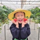 일월농장 이미지