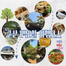 태성사진관 | [군산] 1박2일 군산 여행 코스 정리 (+ 맛집, 숙소, 카페 등등)