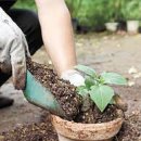 원예기능사 이미지