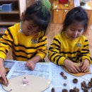 안서초등학교 병설유치원 이미지