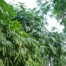 우산공원3 이미지