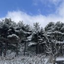 셋째 주 주말 일상 산청 가볼 만한 곳 - 남사예담촌 맛집 예담원 다함한의원 후기 / 이케아 엘발리 조립