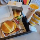 (주)비아나 | [유럽칠주| D+5] 바르셀로나: 구엘저택/포트 벨/맥도날드/몬주익 성/카탈루냐 미술관/타코벨