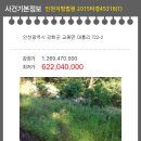 교동면-2 이미지